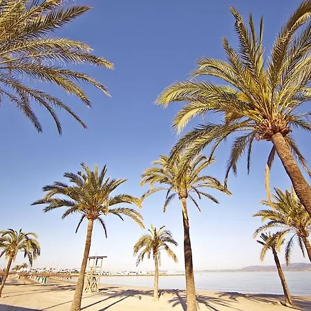 Mll Caribbean Bay 호텔