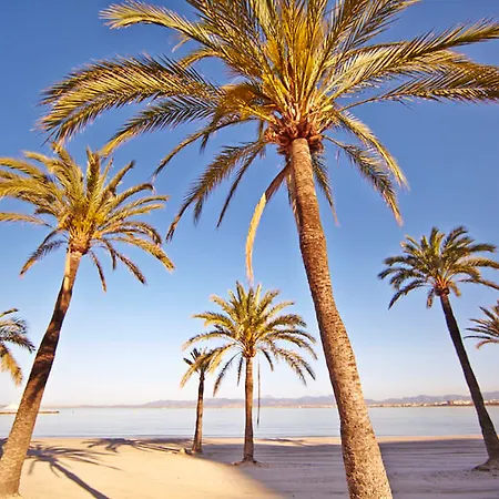 Mll Caribbean Bay